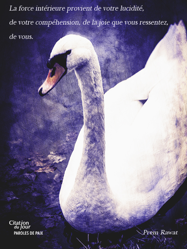swan,Prem Rawat,quote