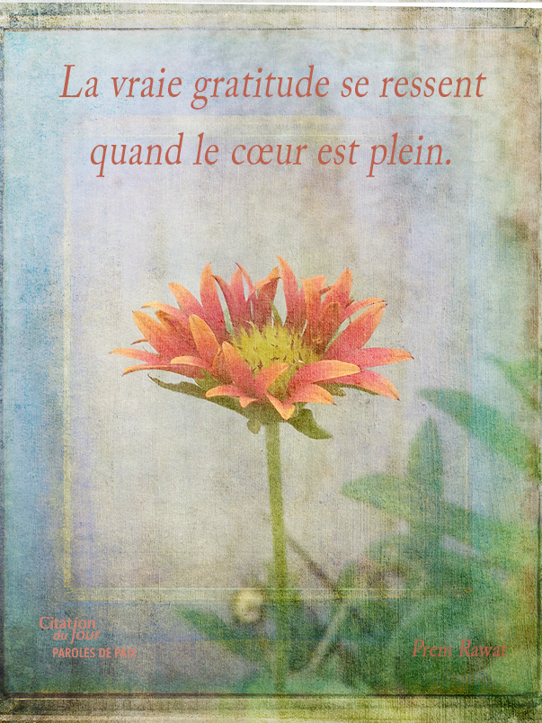 flower,Prem Rawat,quote