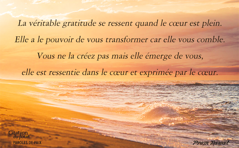 beach, sea,Prem Rawat,quote