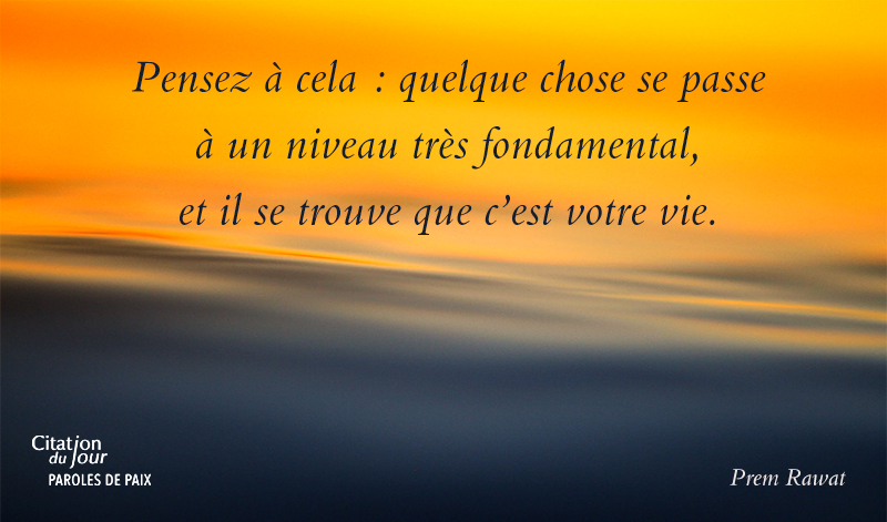 see,Prem Rawat,quote