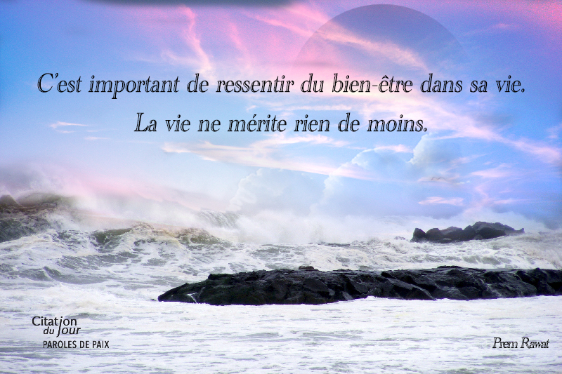 see,Prem Rawat,quote