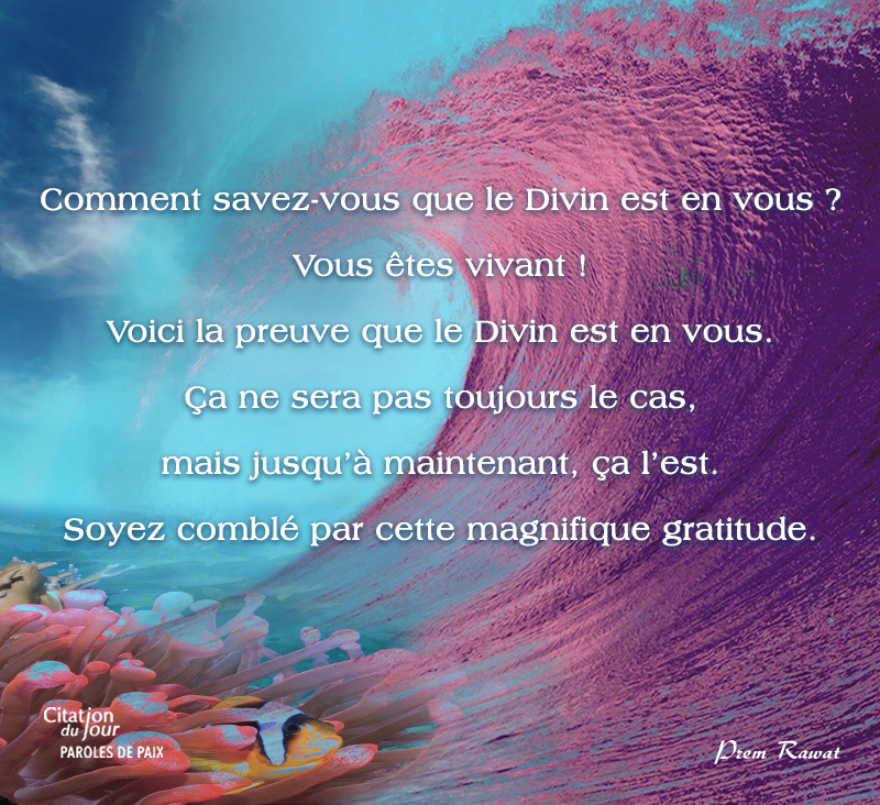 wave,Prem Rawat,quote