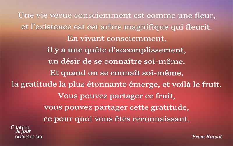 ,Prem Rawat,quote