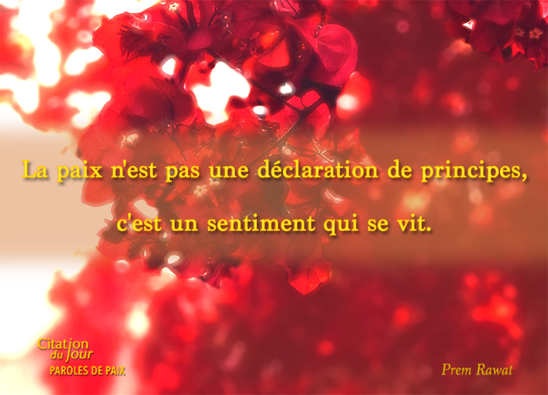 flowers,Prem Rawat,quote