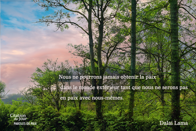forest,Dalaï Lama,quote