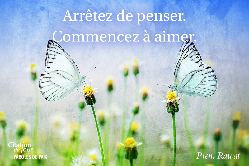 ,butterfly,quote