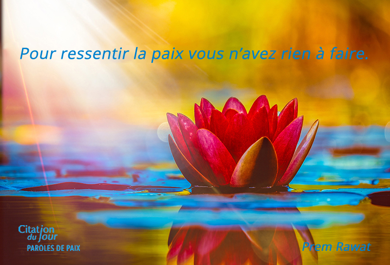 lotus,Prem Rawat,quote