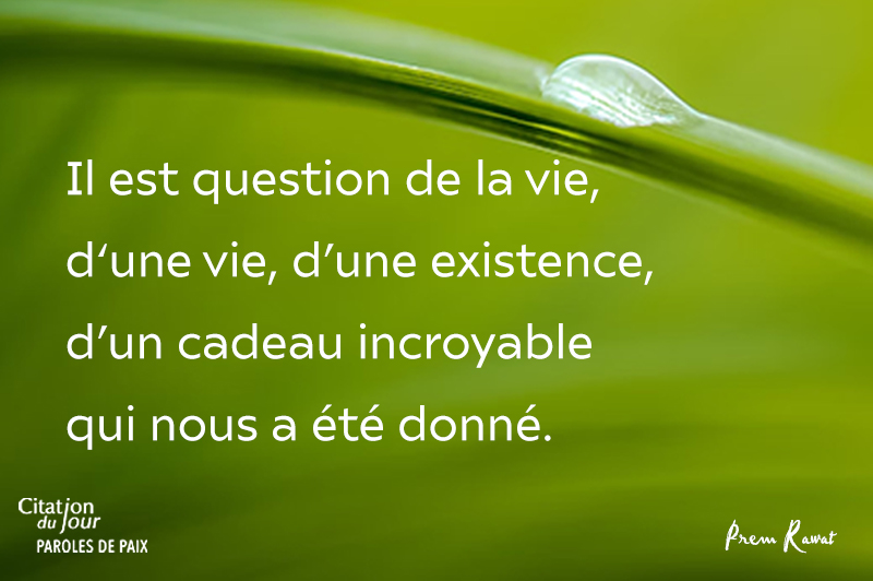 drop,Prem Rawat,quote