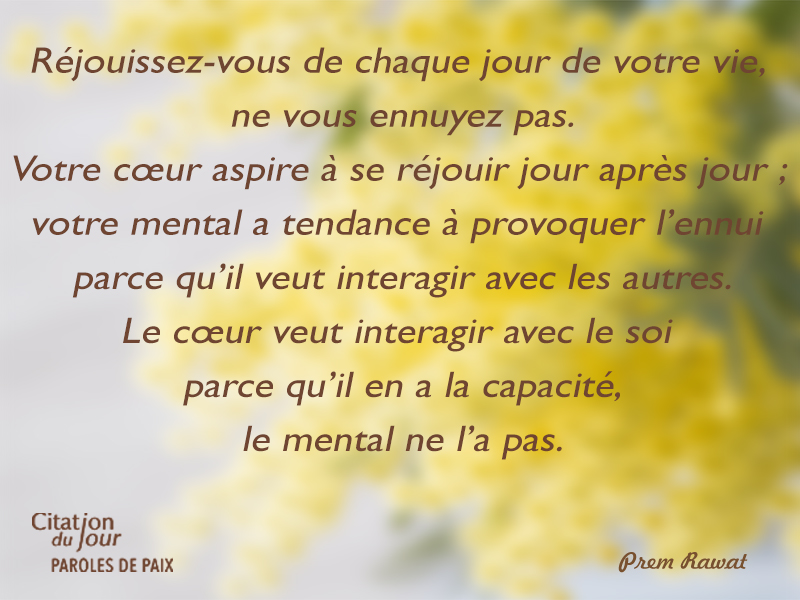 ,Prem Rawat,quote