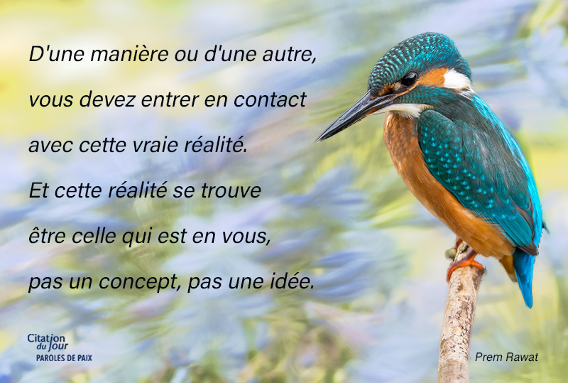 bird,Prem Rawat,quote