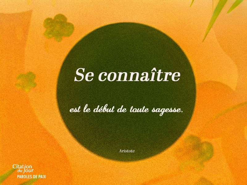 ,Aristote,quote