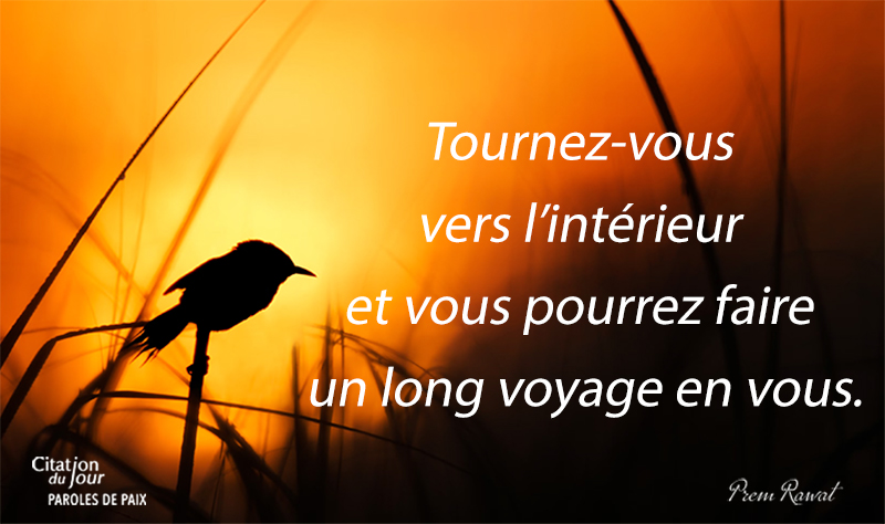 bird,Prem Rawat,quote