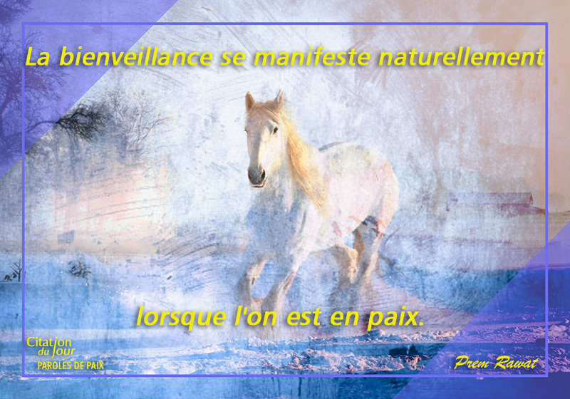 horse,Prem Rawat,quote