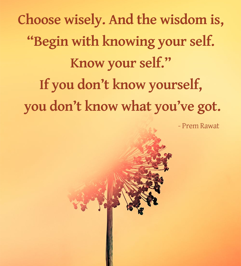 choose-wisely-and-the-wisdom-is-begin-prem-rawat