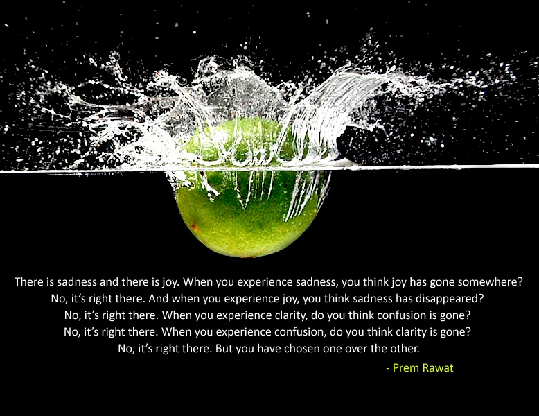 The Dichotomy of Existence